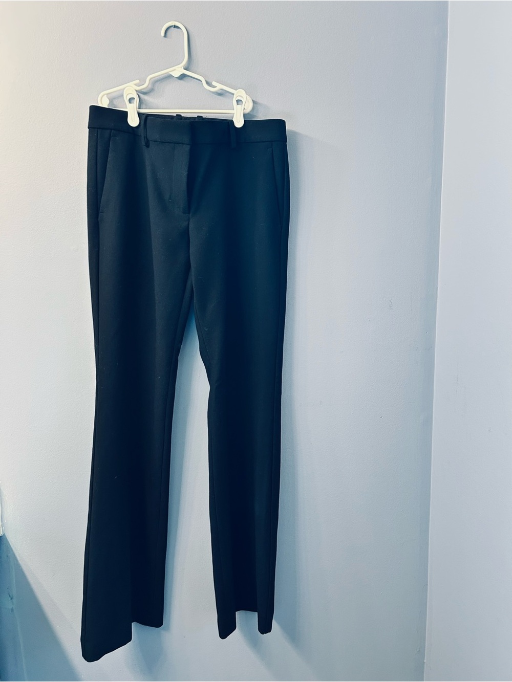 Ann Taylor Navy dress pants